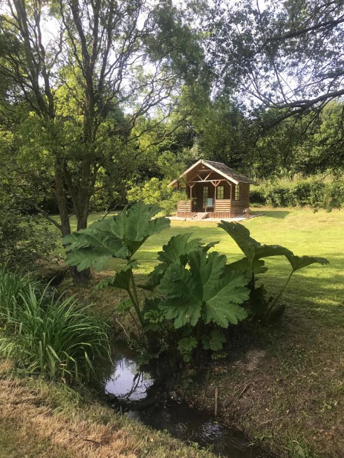 La Paix, Gite Bucolique En Normandie Condé-sur-Noireau Екстериор снимка