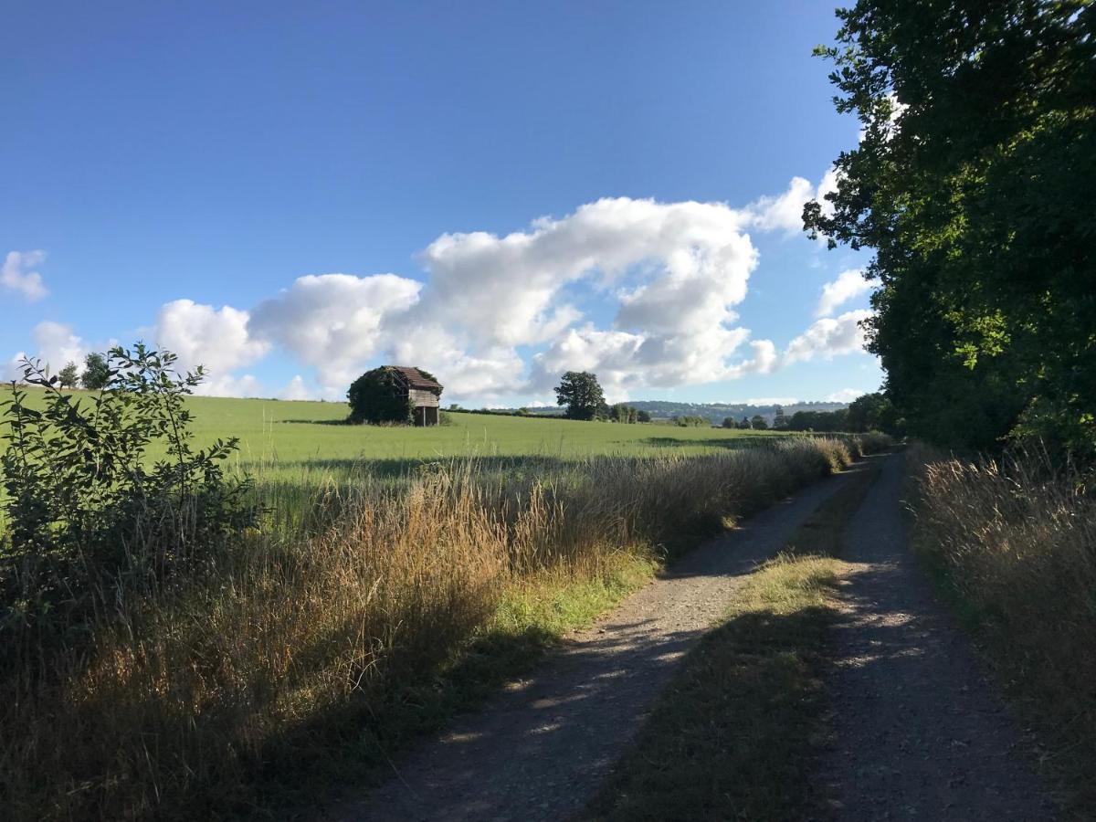 La Paix, Gite Bucolique En Normandie Condé-sur-Noireau Екстериор снимка