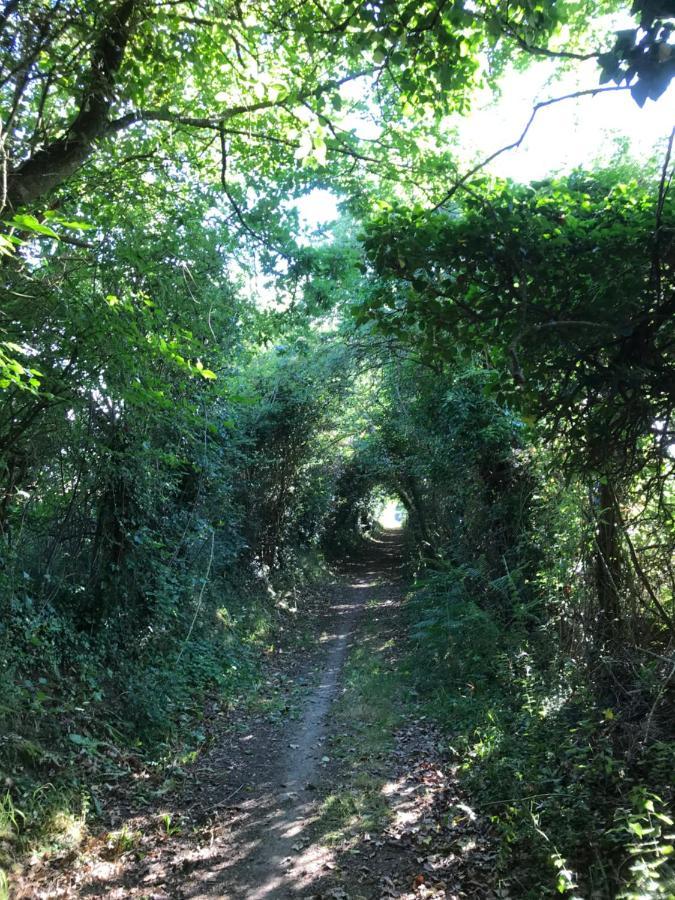 La Paix, Gite Bucolique En Normandie Condé-sur-Noireau Екстериор снимка